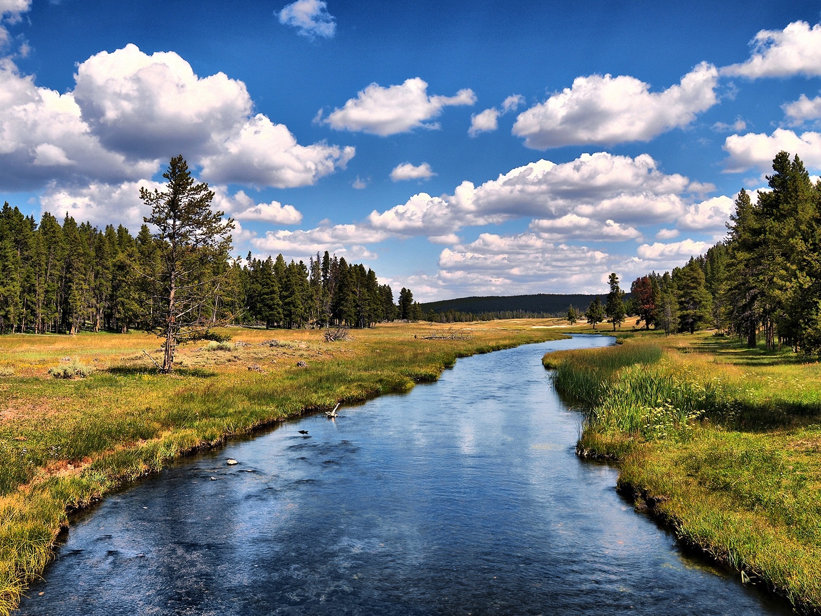 Cold River.jpg