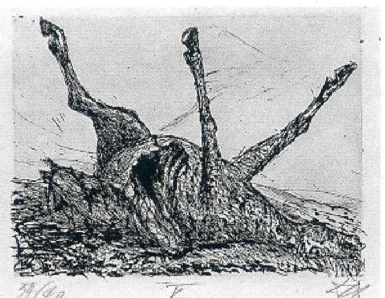 corpse-of-a-horse.jpg