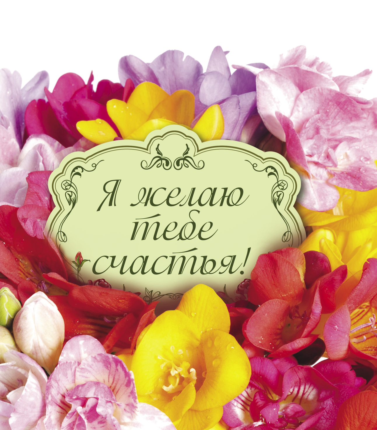 cover1.jpg