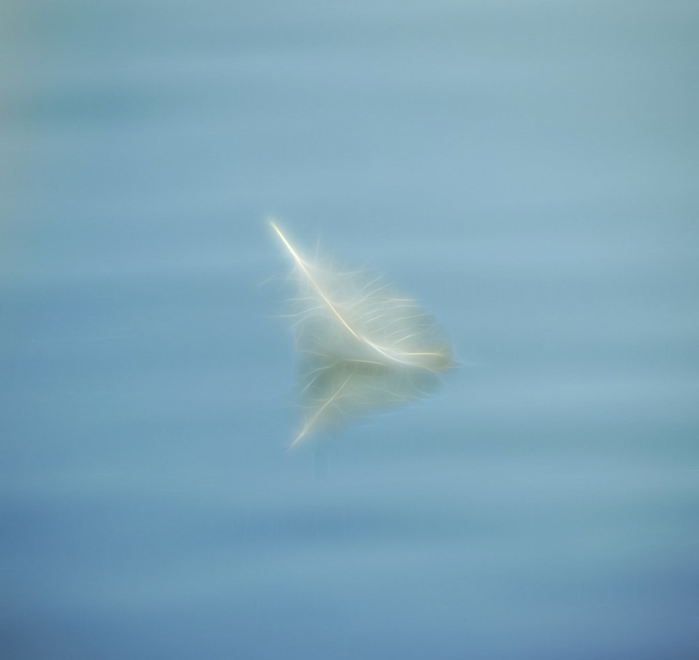 crop_206673550_sLkiw.jpg