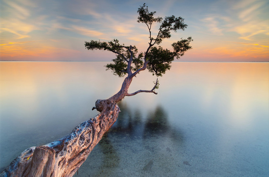crop_209141977_717QDcq.jpg