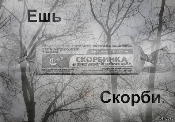 d180d0b5d0b4d0b0d0bad182d0bed180-d0b2-d0bed182d0bfd183d181d0bad0b5-27.jpg