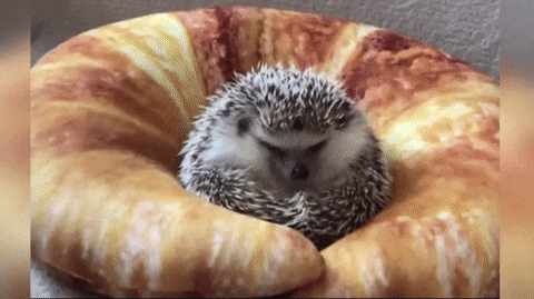 d1cb4bbe063eeed173321842aa635c73.gif