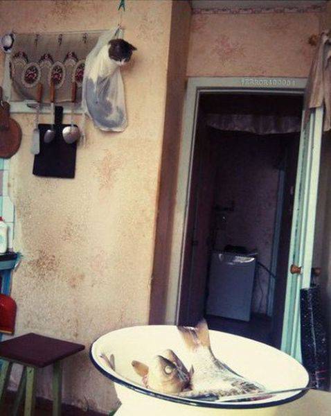 daily_picdump_2064_640_85.jpg