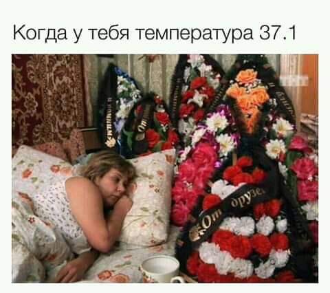 de4e71c33169c6e87476f38af821455d.jpg