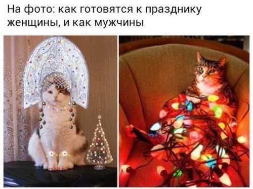 demotivatord6.jpg