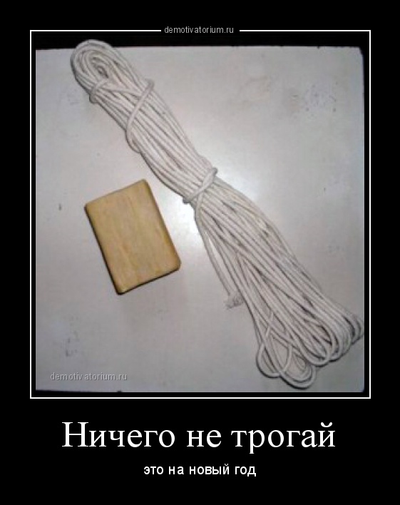 demotivatorium_ru_nichego_ne_trogaj_105798.jpg