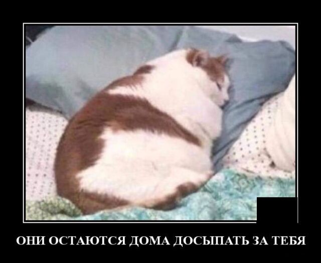 demotivatory-19.jpg