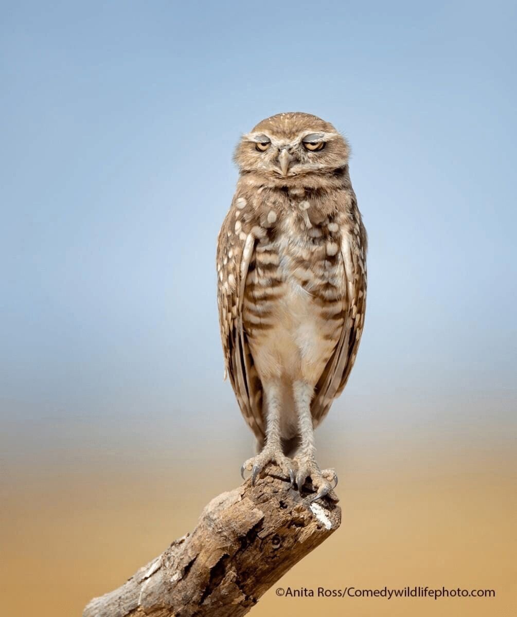 DiKKIFMpWl8.jpg
