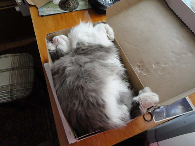 DSC00552.JPG