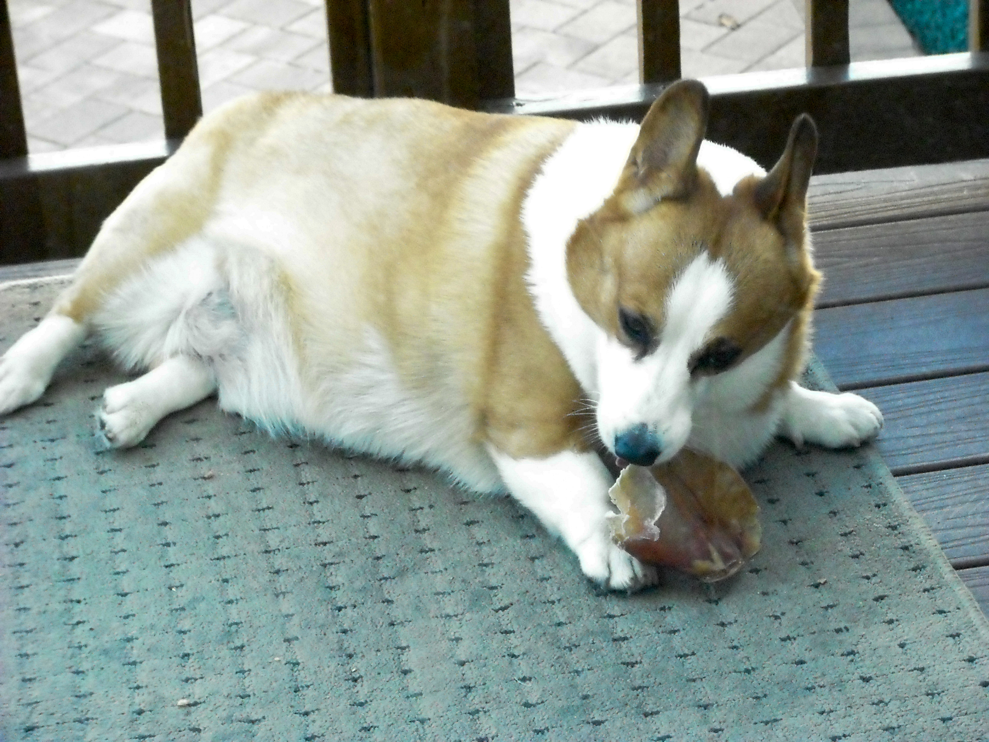DSCF1060_edited.jpg