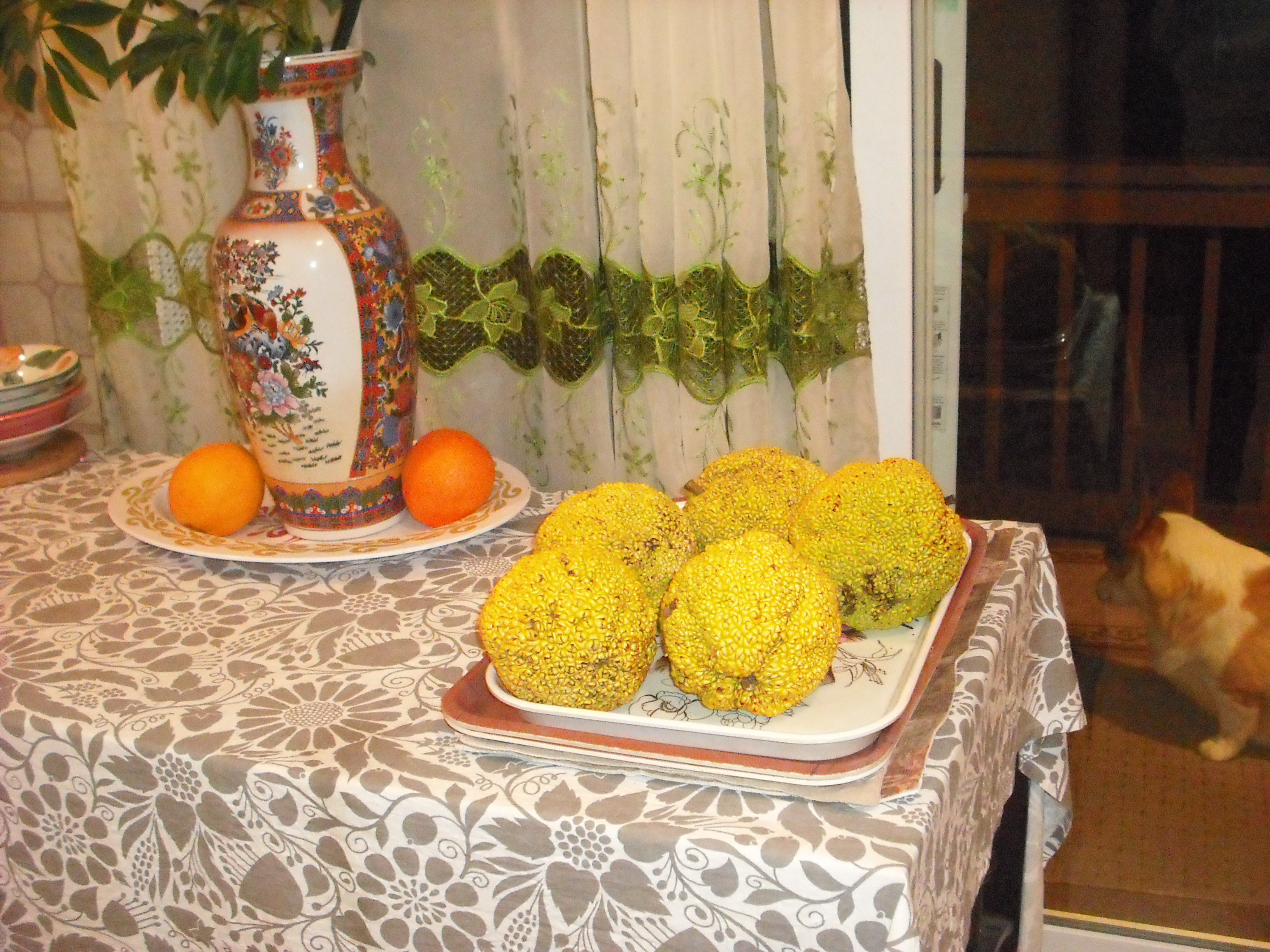 DSCF1298.JPG
