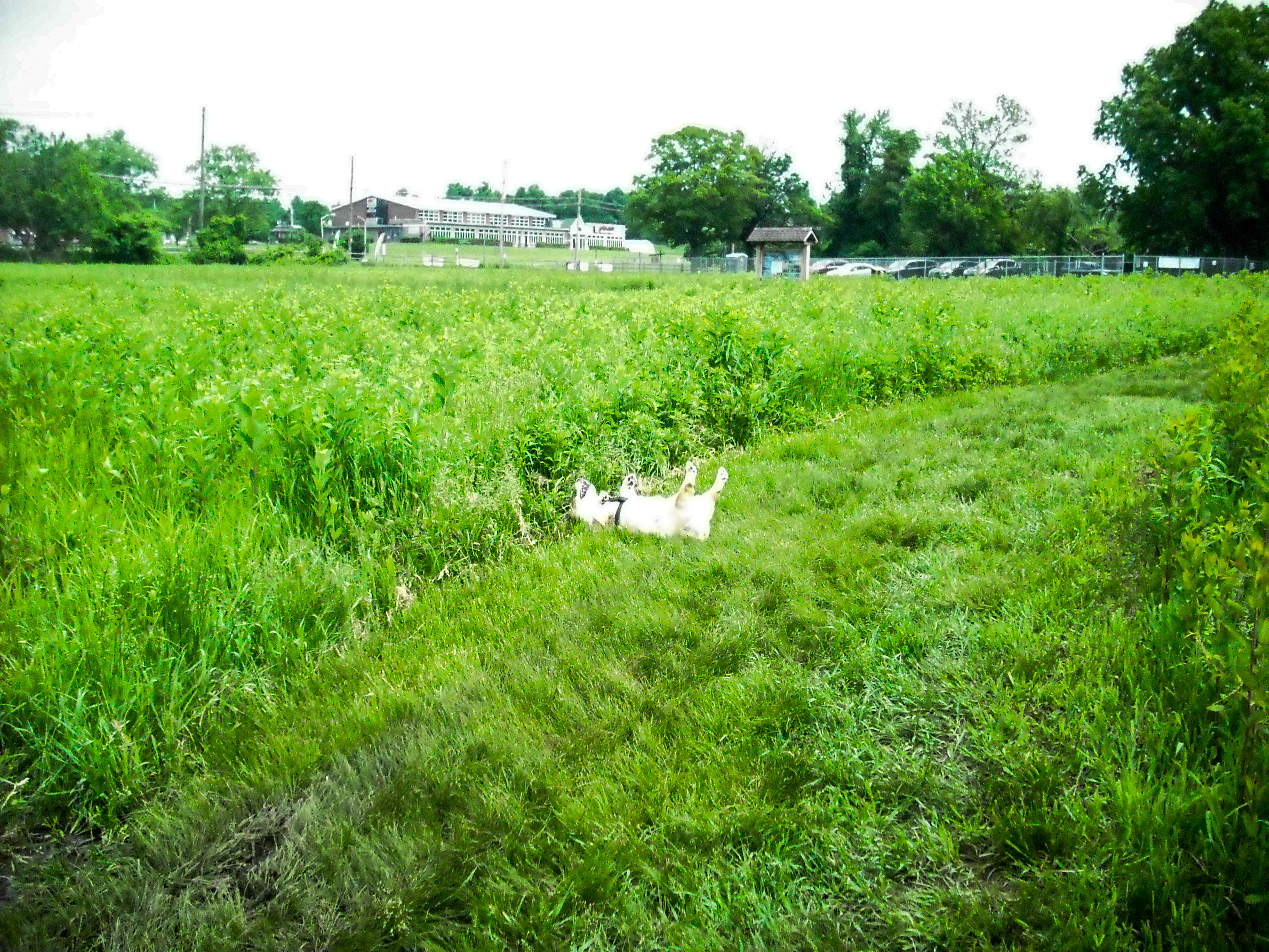 DSCF1326_edited.jpg