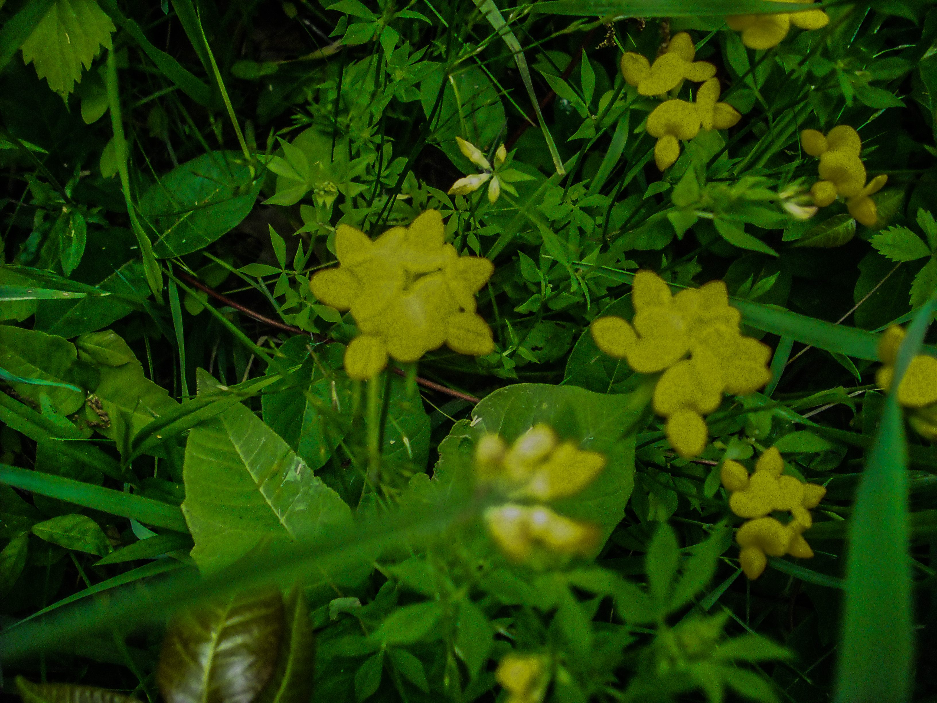DSCF1424_edited.jpg