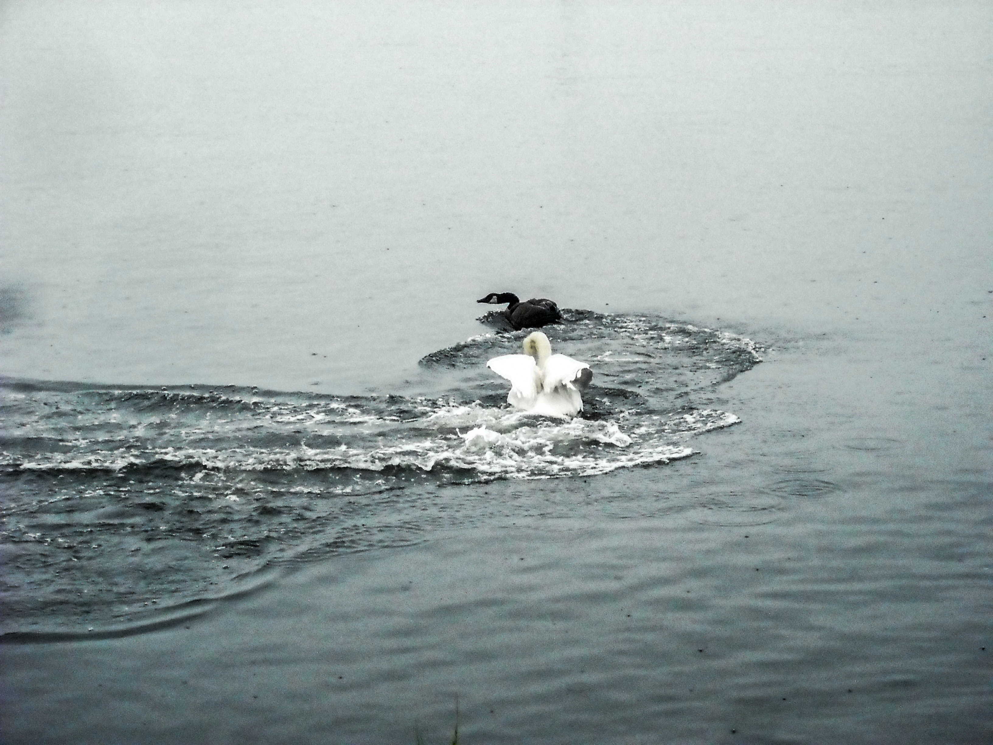 DSCF1455_edited.jpg