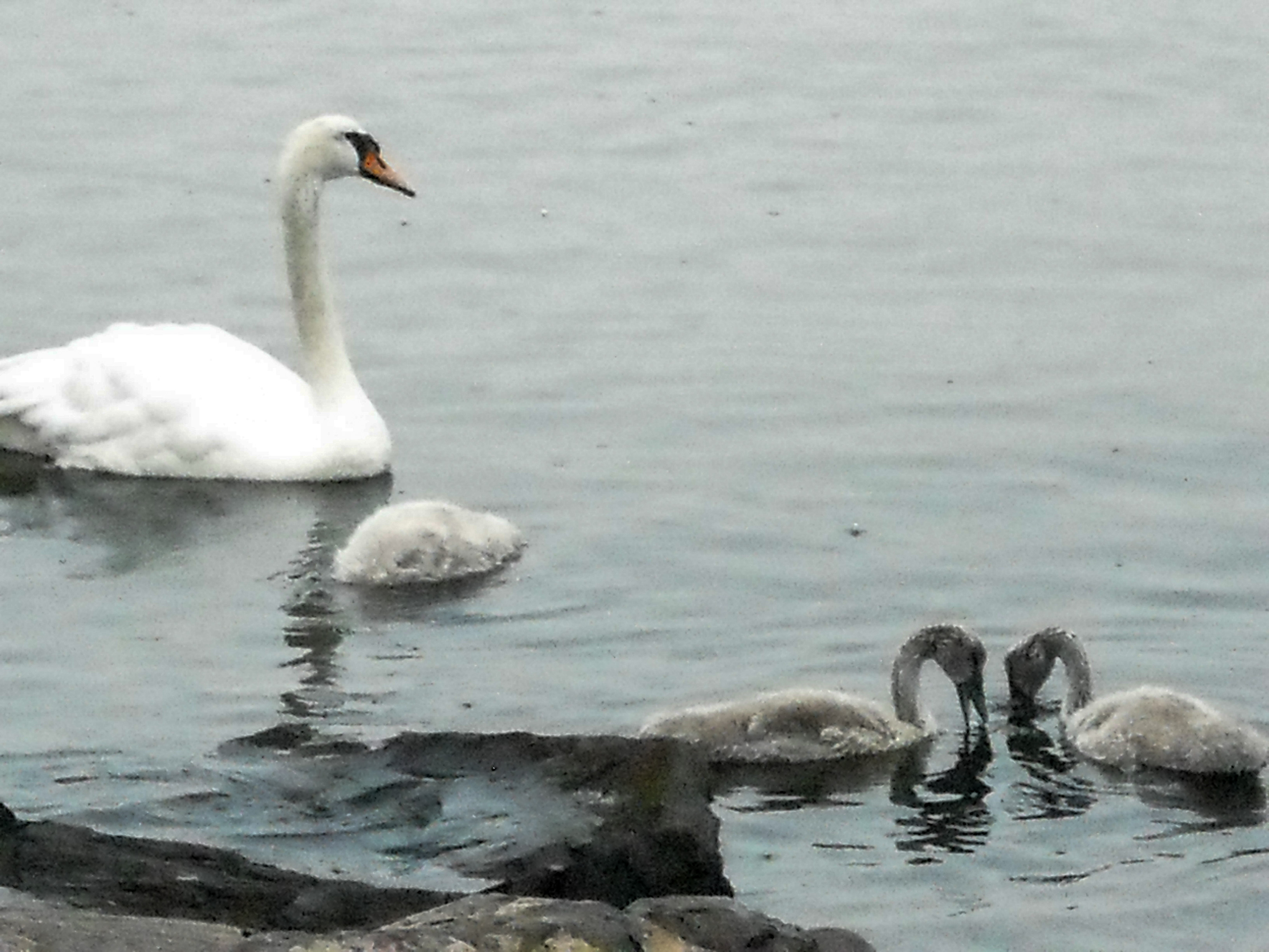 DSCF1470_edited.jpg