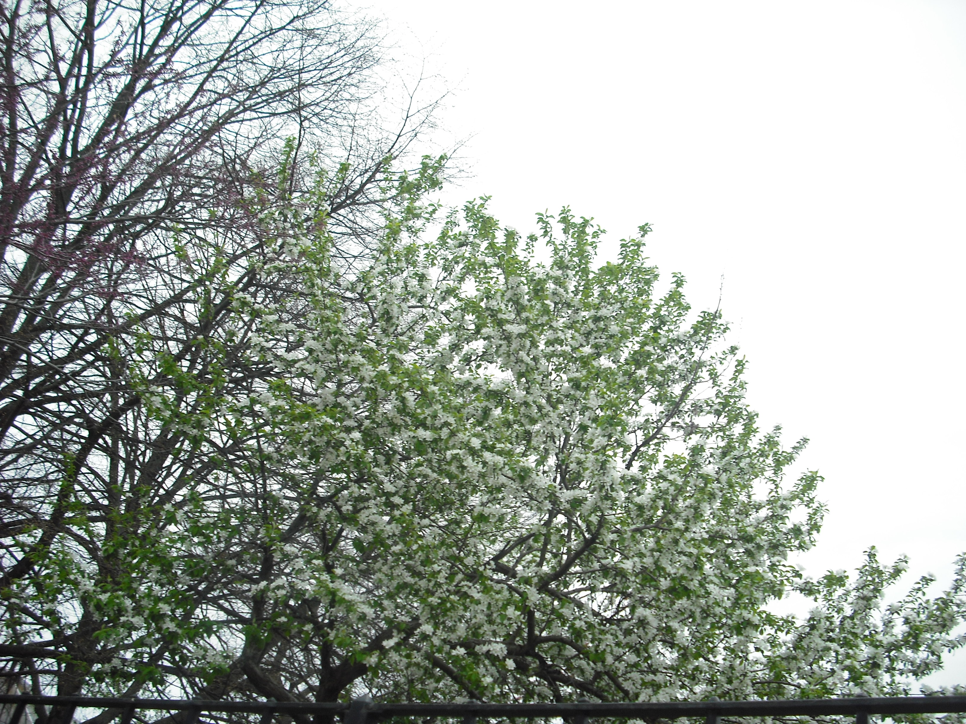 DSCF2023.JPG