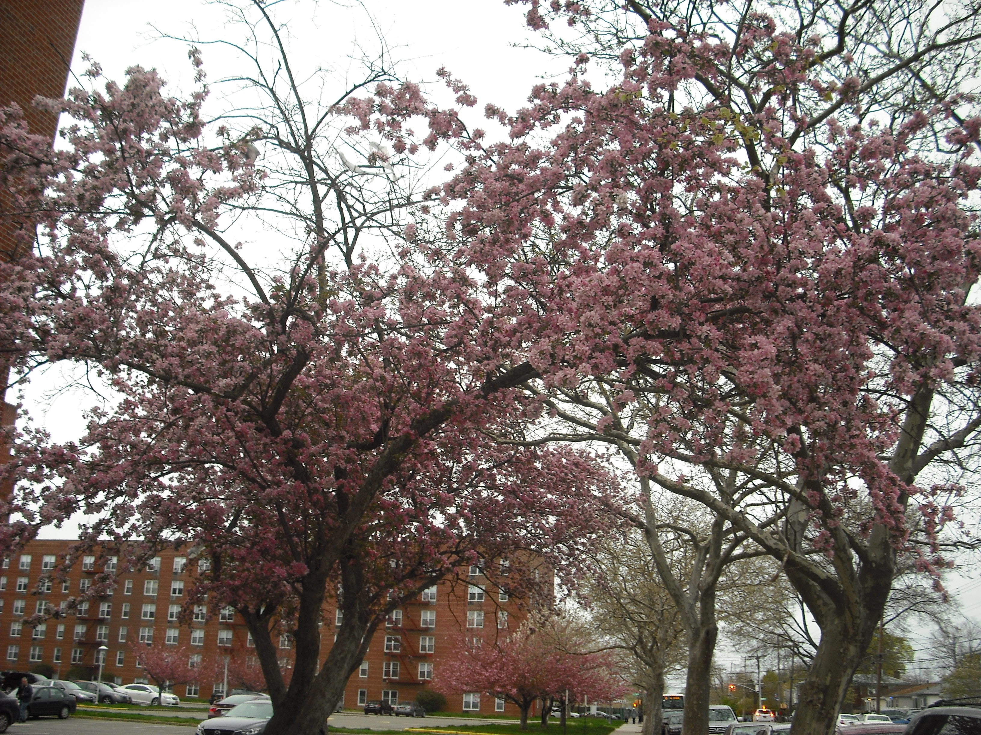 DSCF2027.JPG