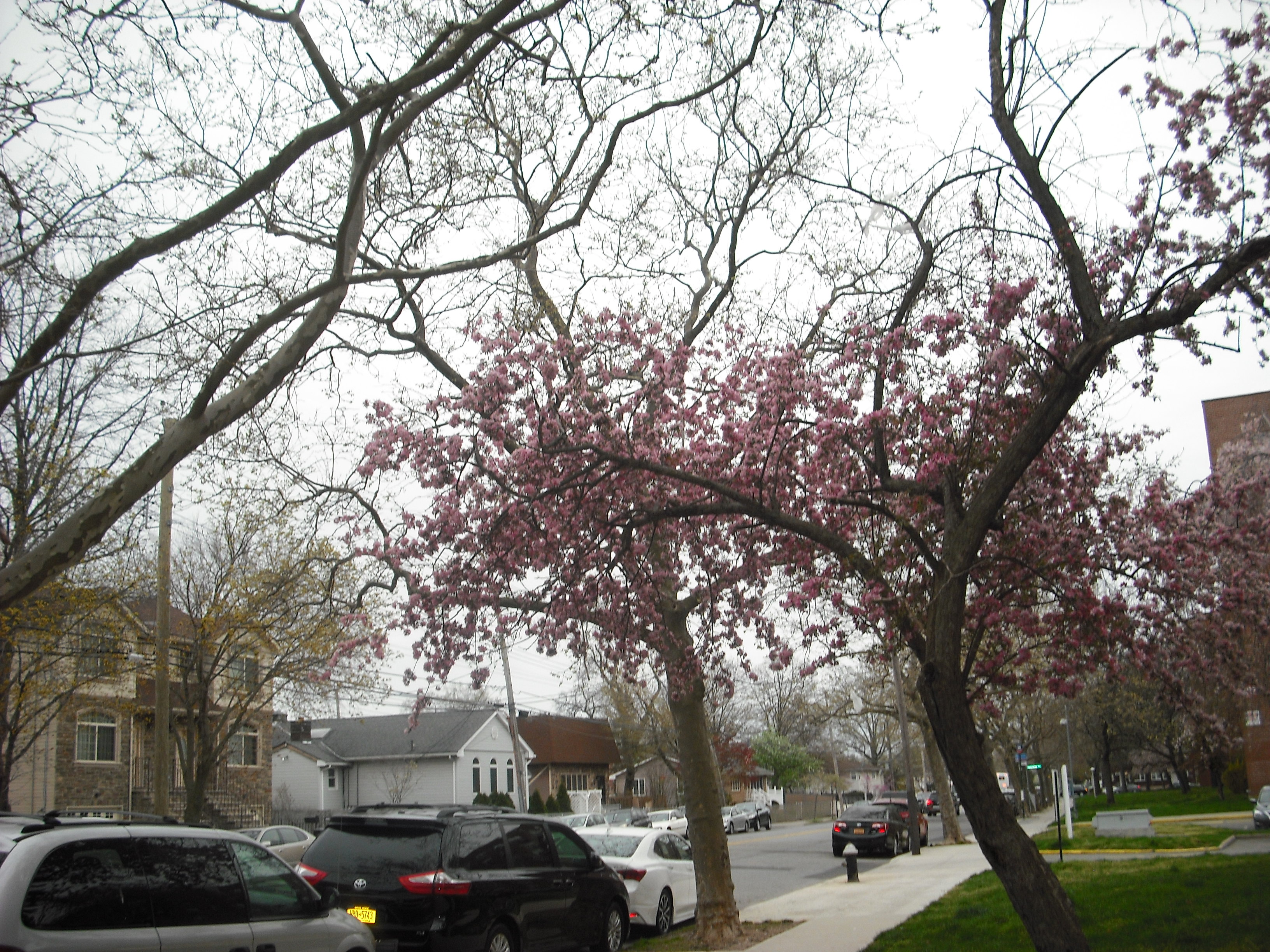 DSCF2029.JPG