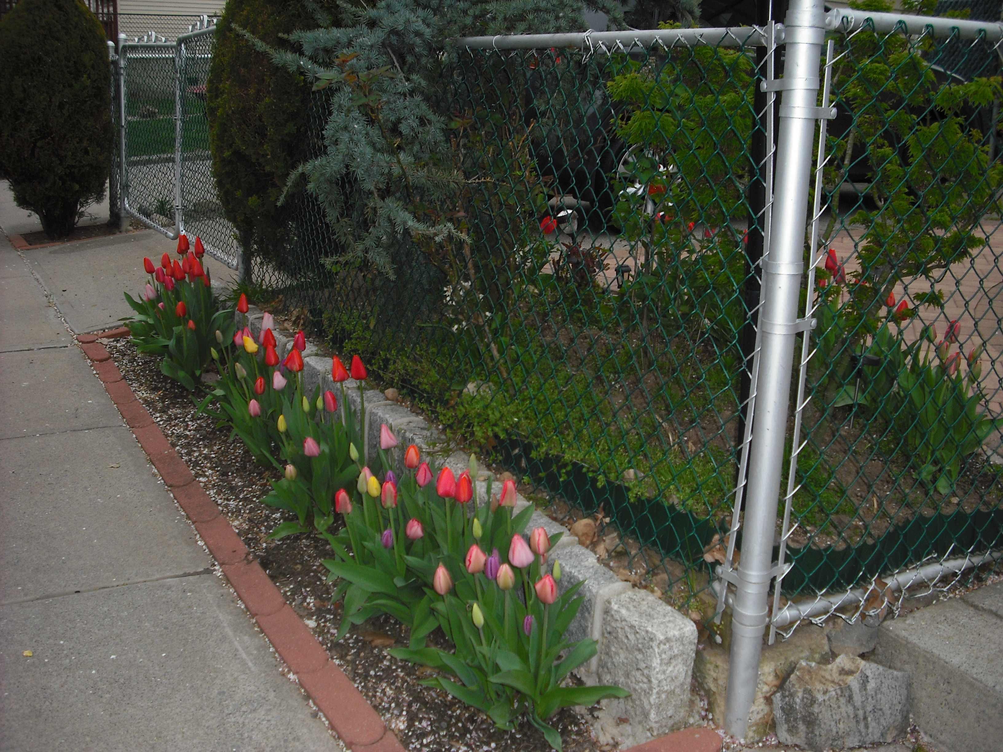 DSCF2039.JPG