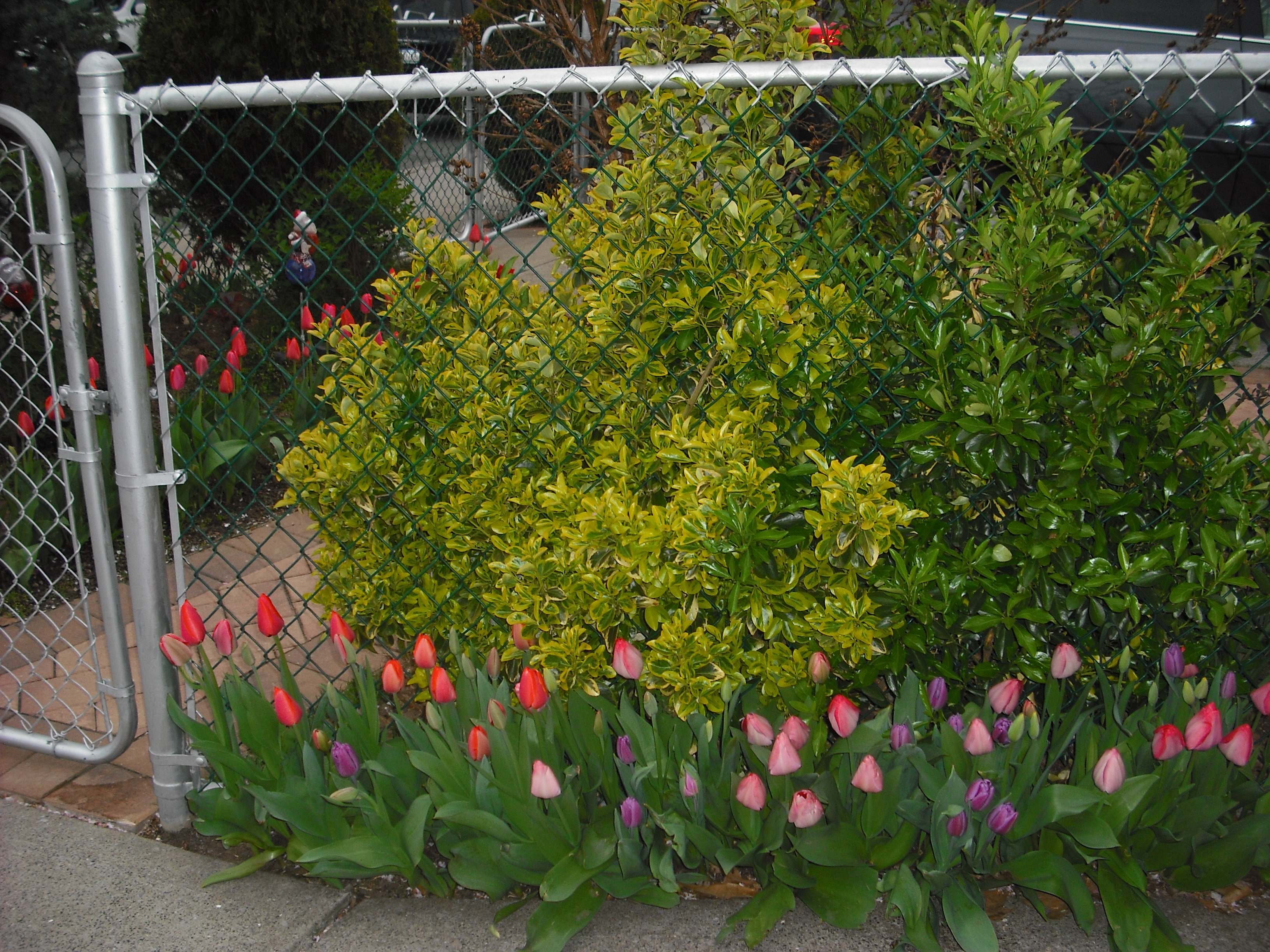 DSCF2041.JPG