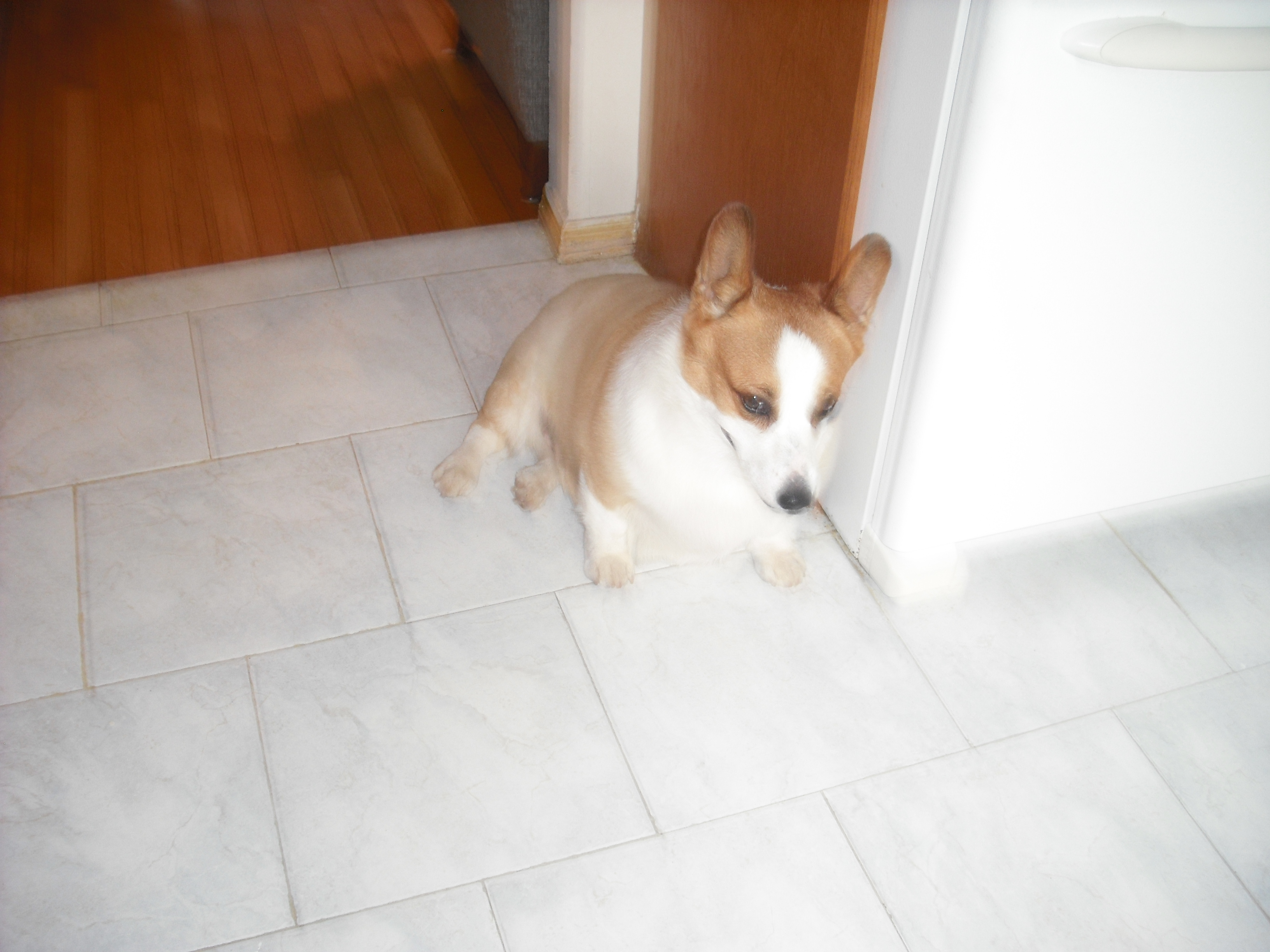 DSCF2319.JPG