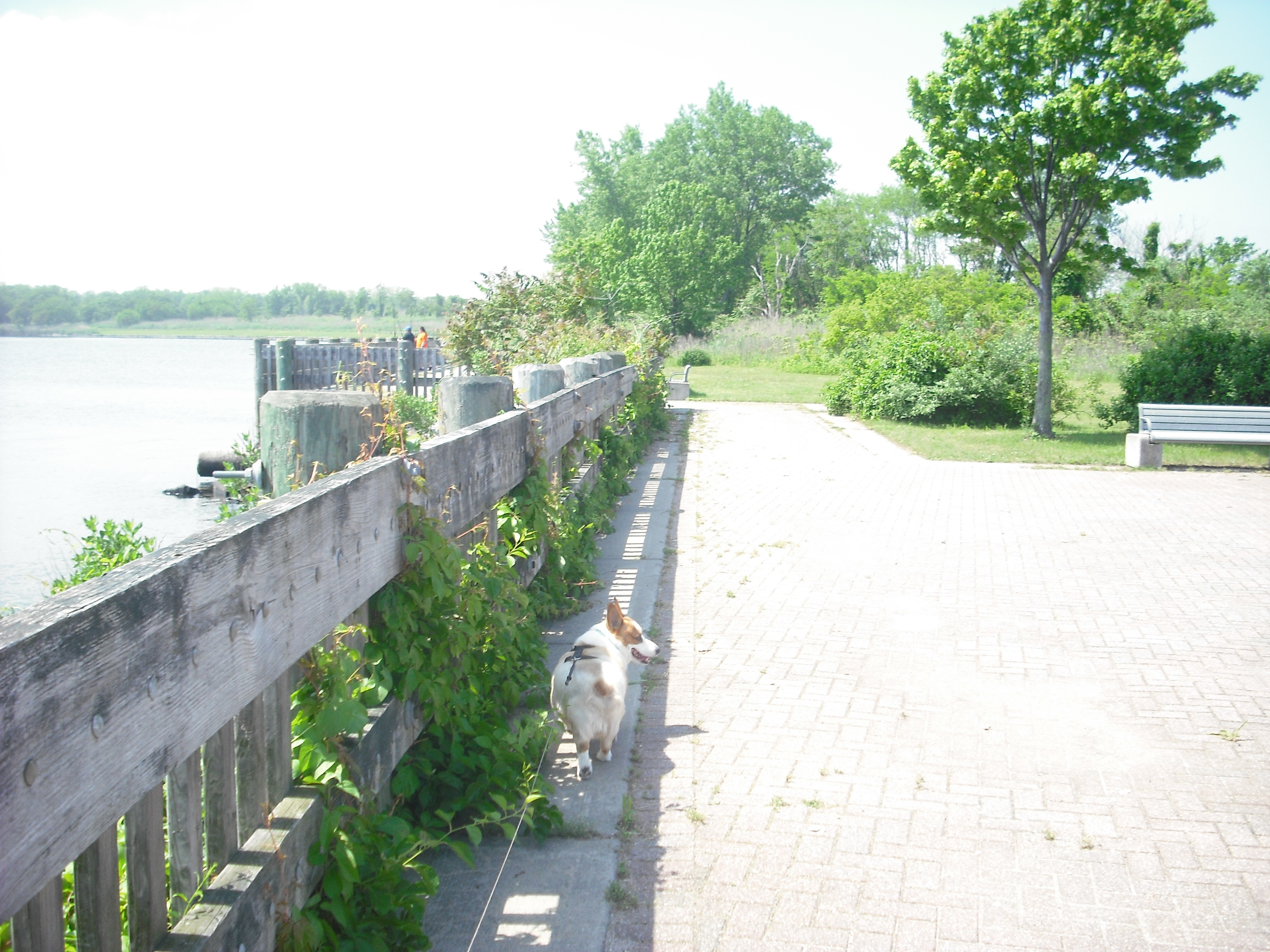DSCF2362.JPG