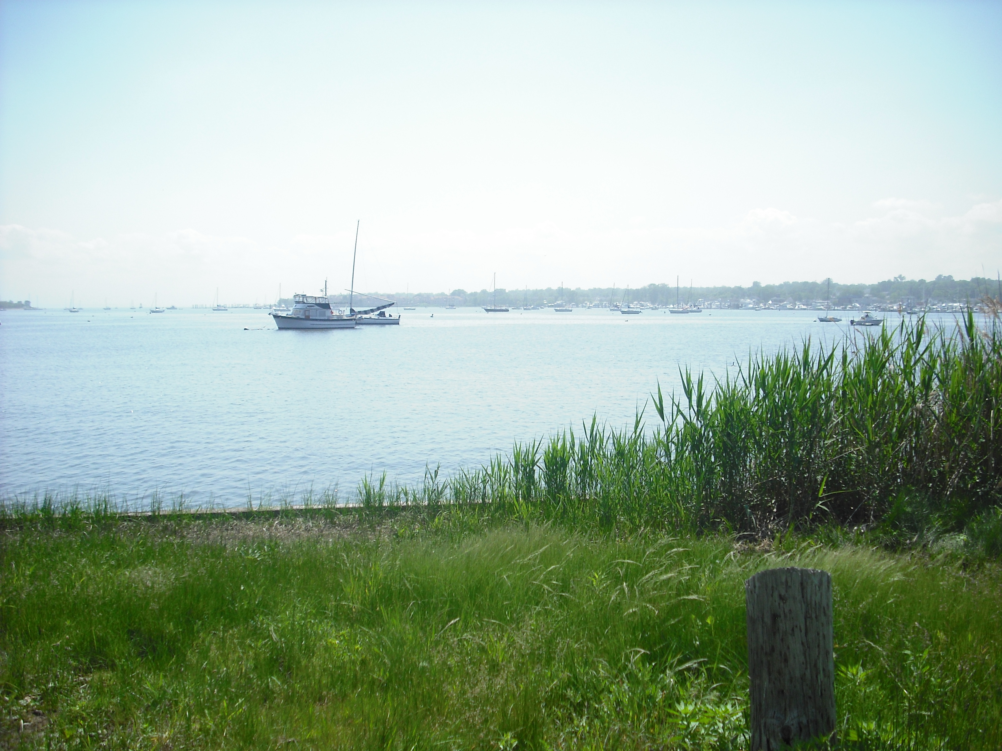 DSCF2376.JPG