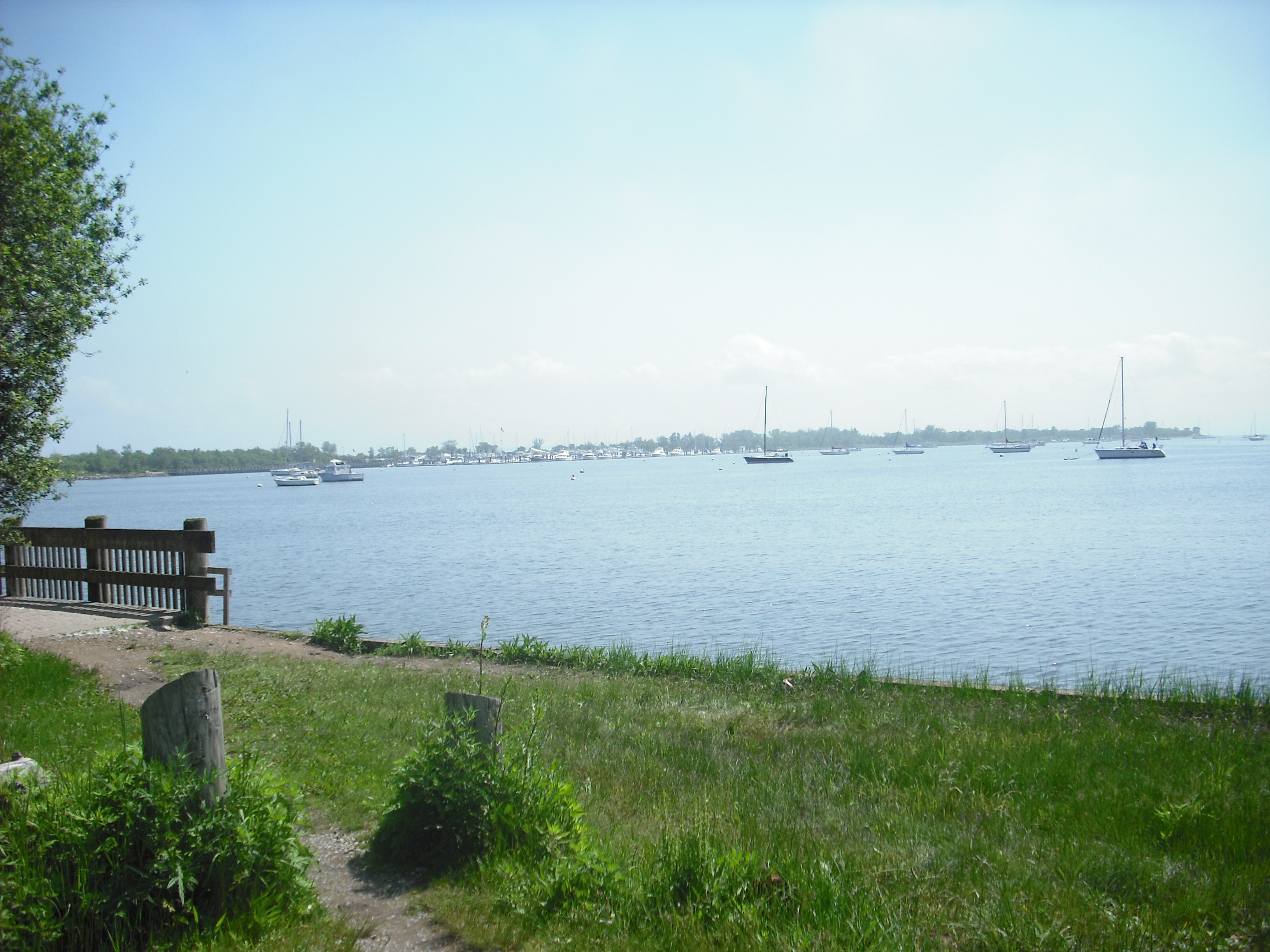 DSCF2378.JPG