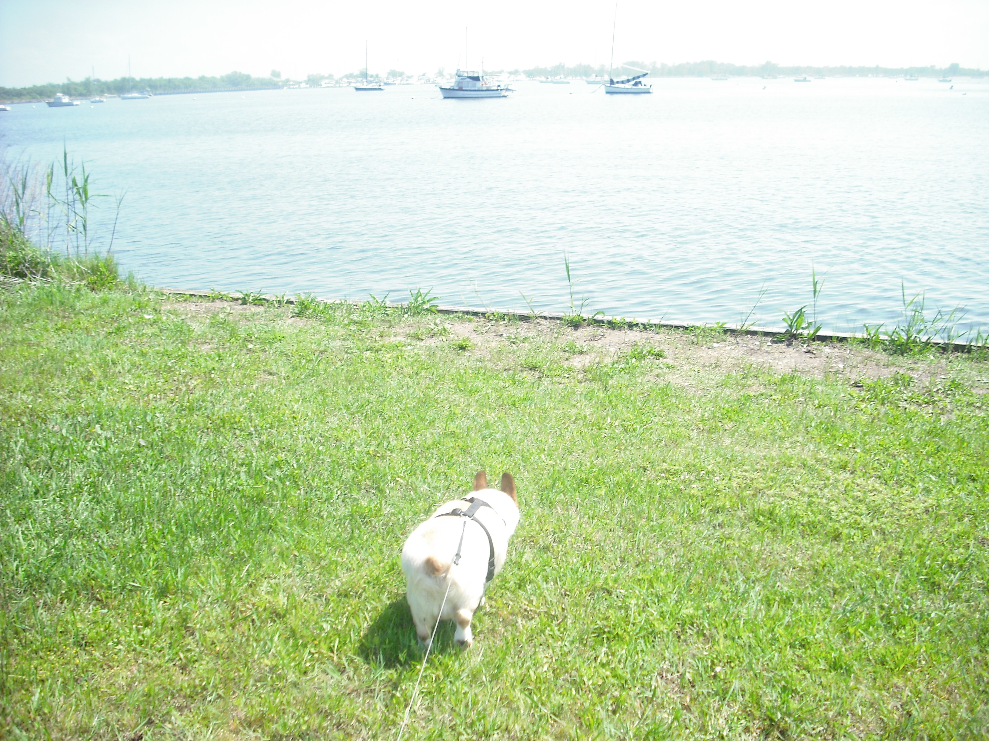 DSCF2381.JPG
