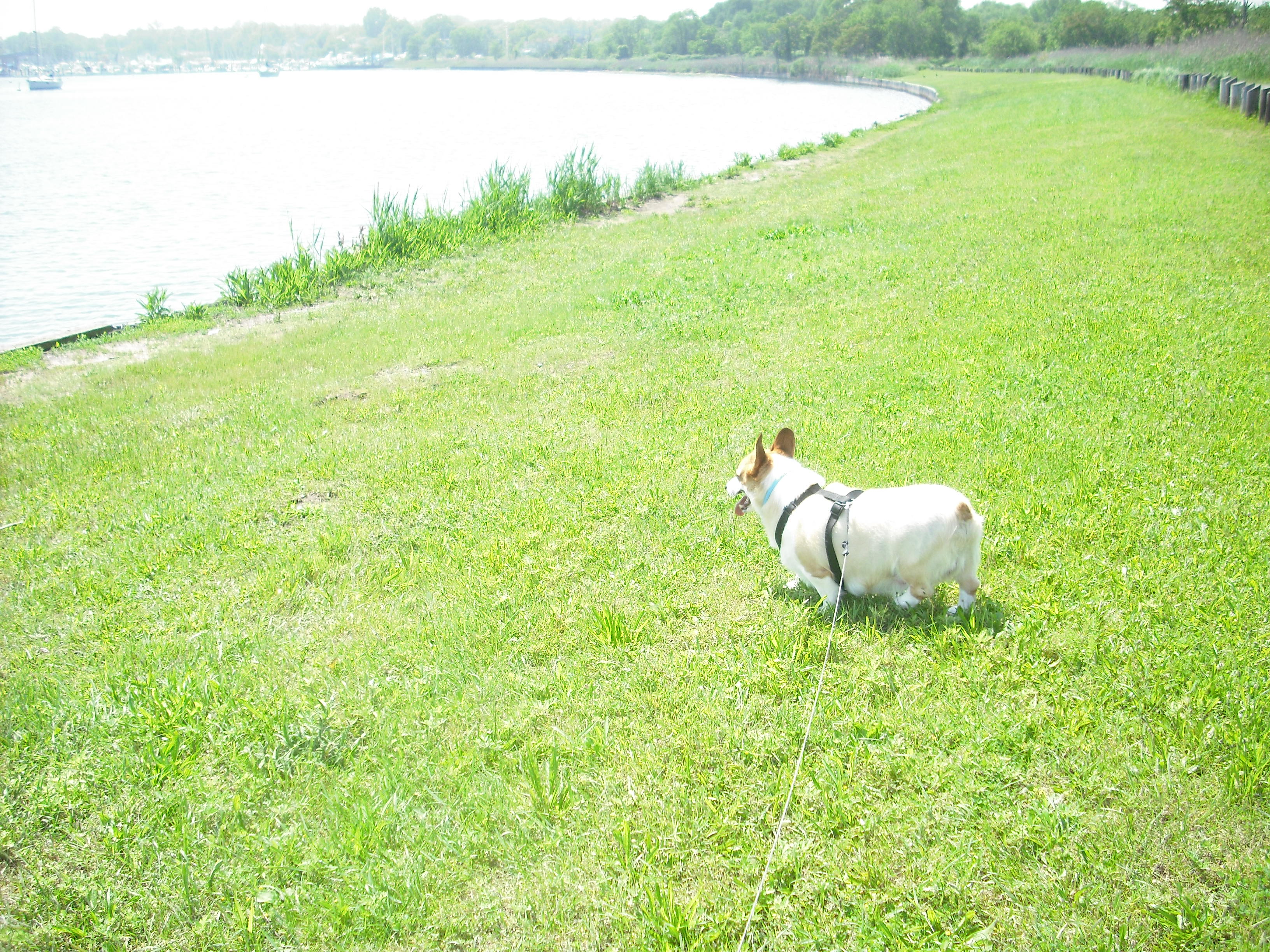 DSCF2384.JPG