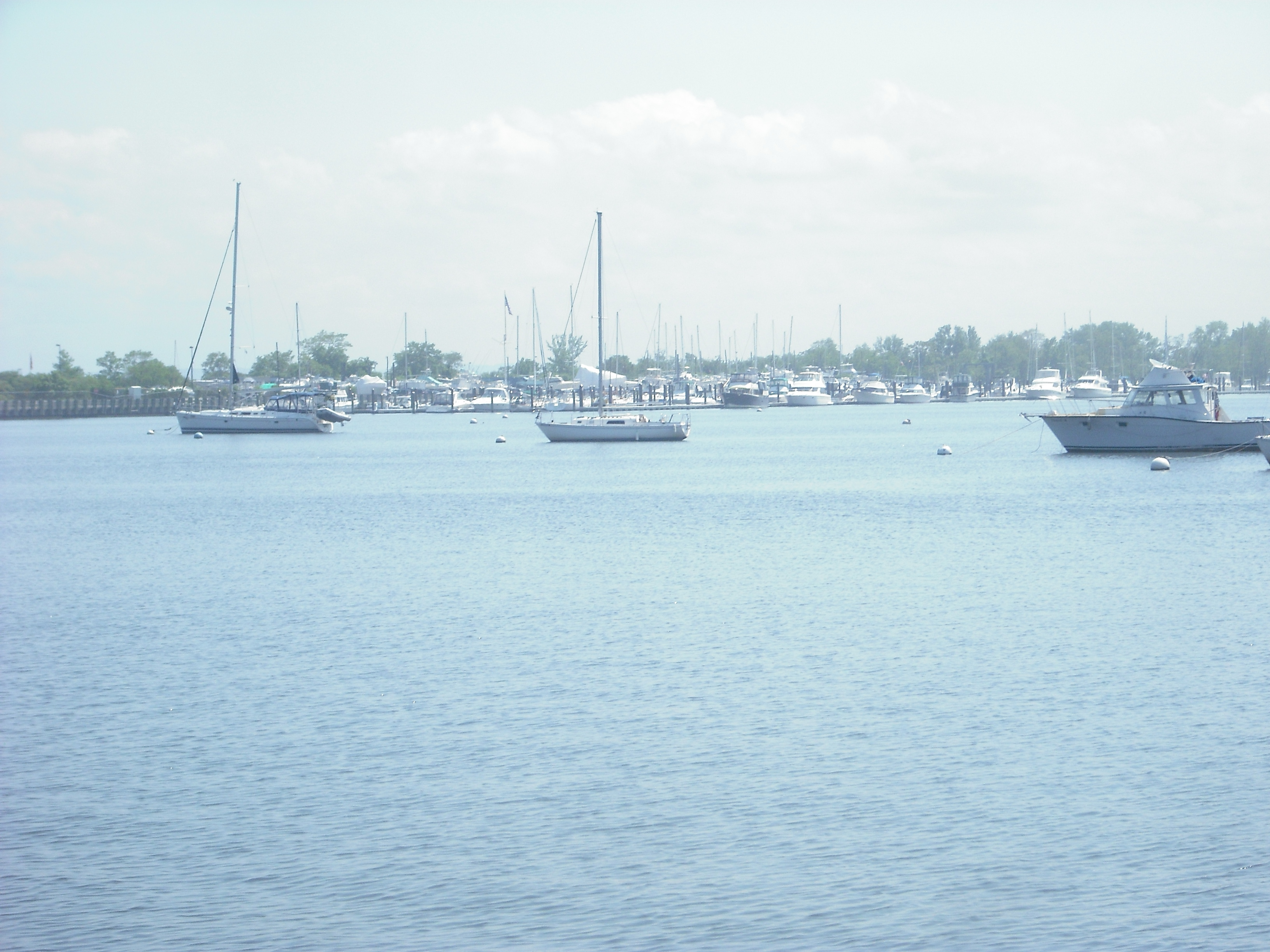 DSCF2386.JPG