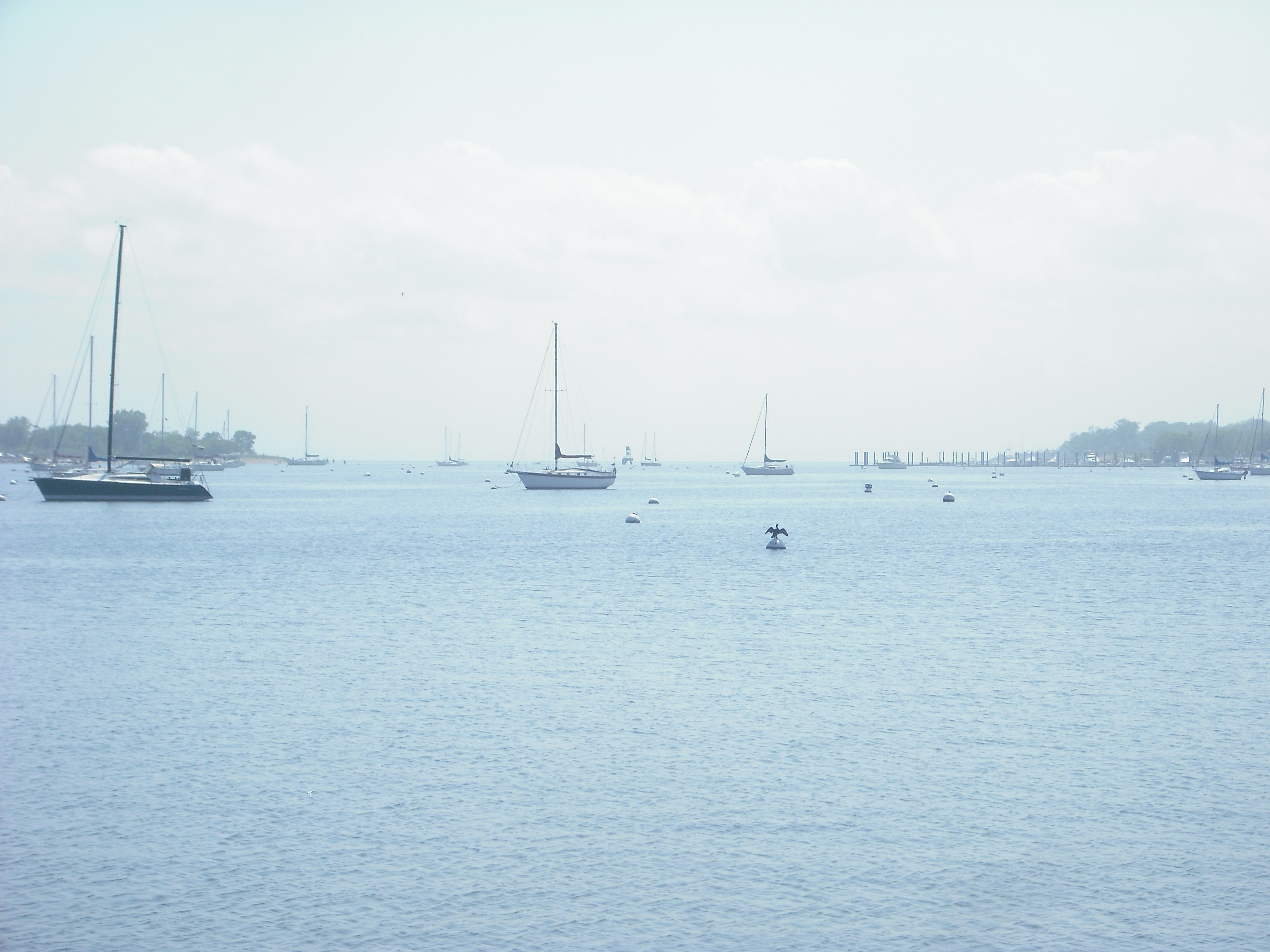 DSCF2388.JPG