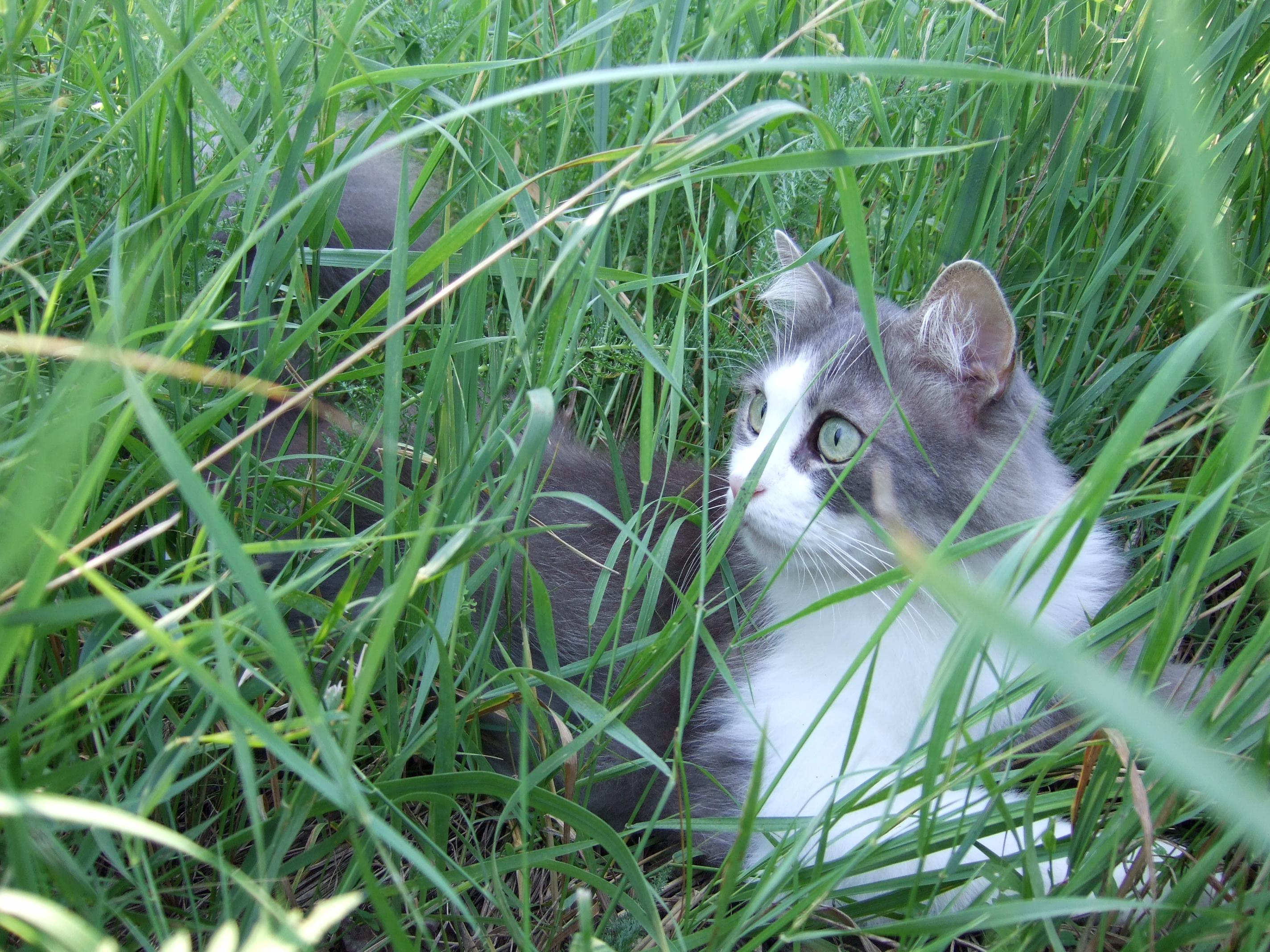 DSCF4540.jpg