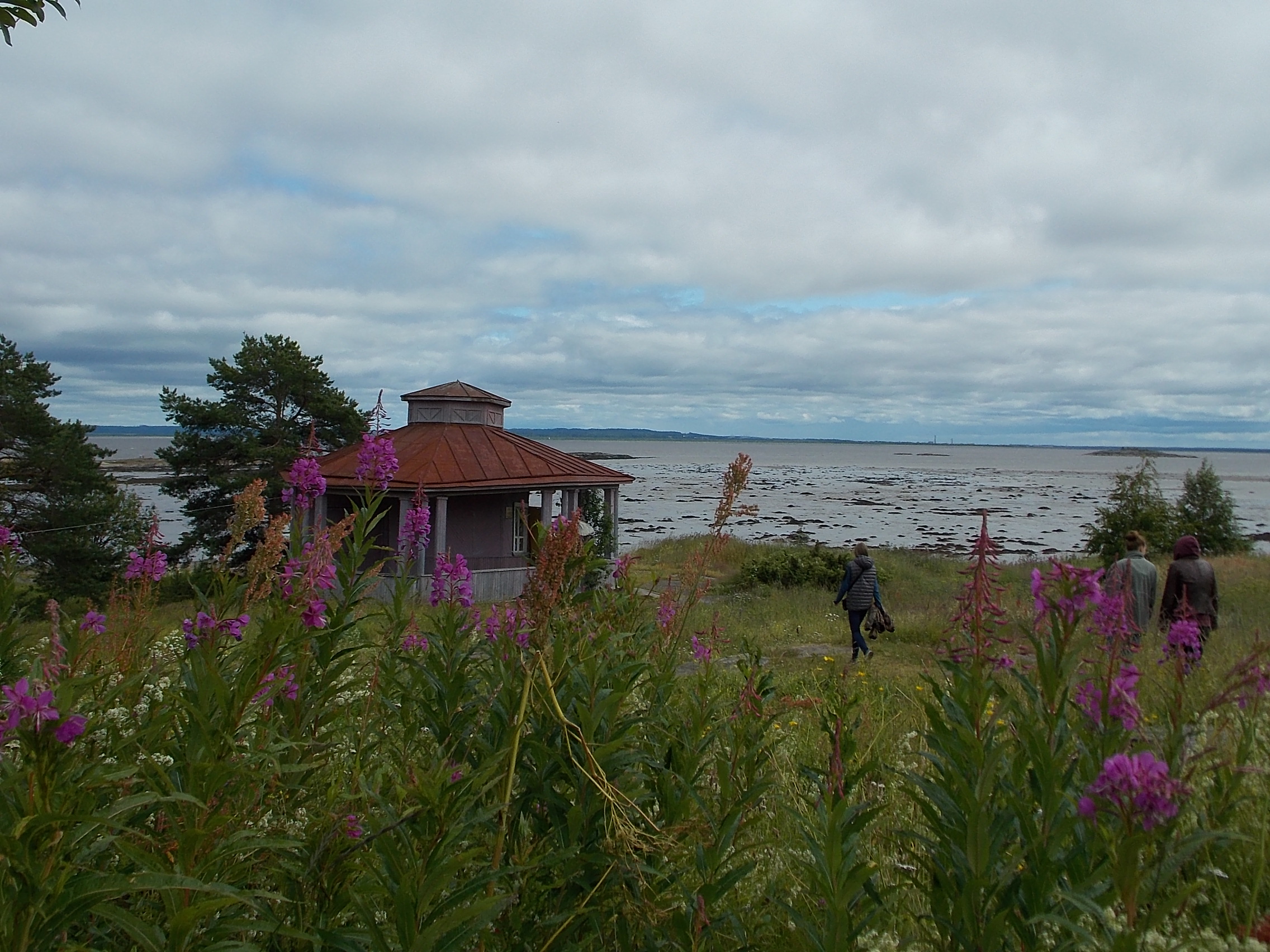 DSCN0489.JPG