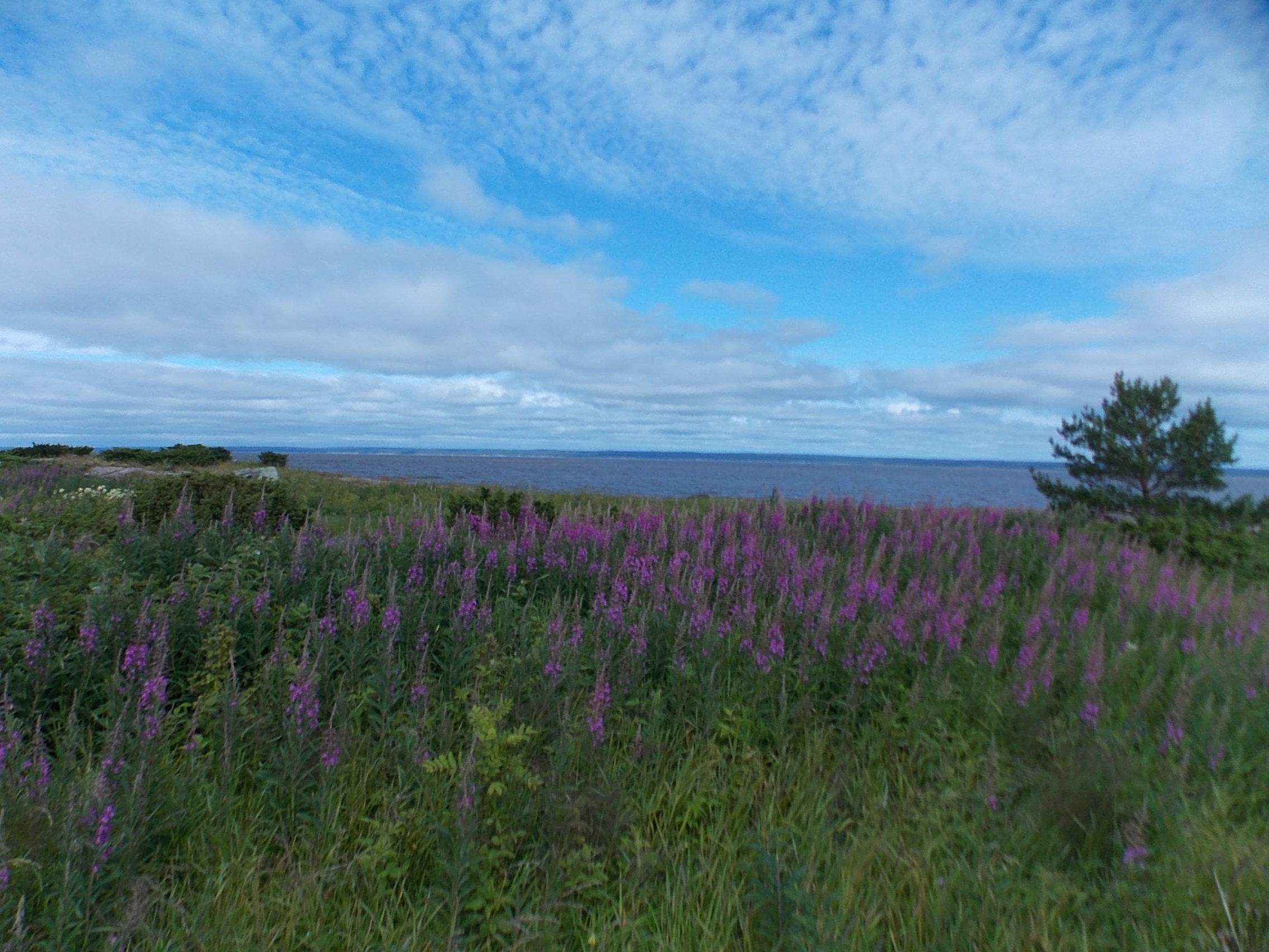 DSCN0505.JPG