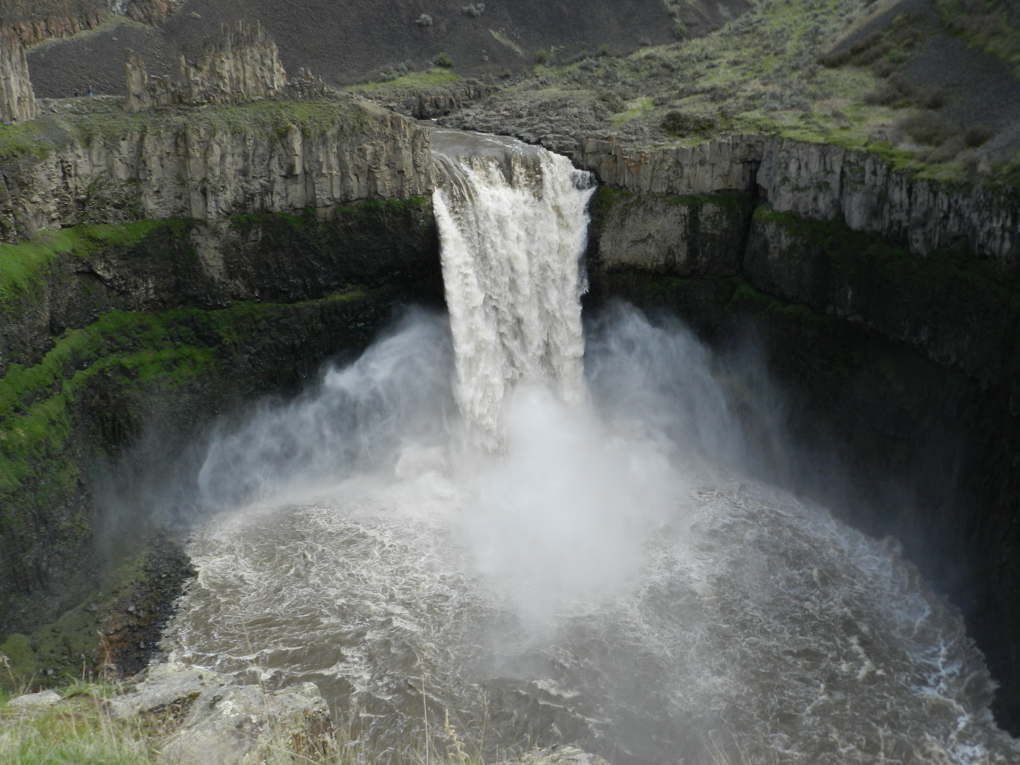 dscn0636.jpg