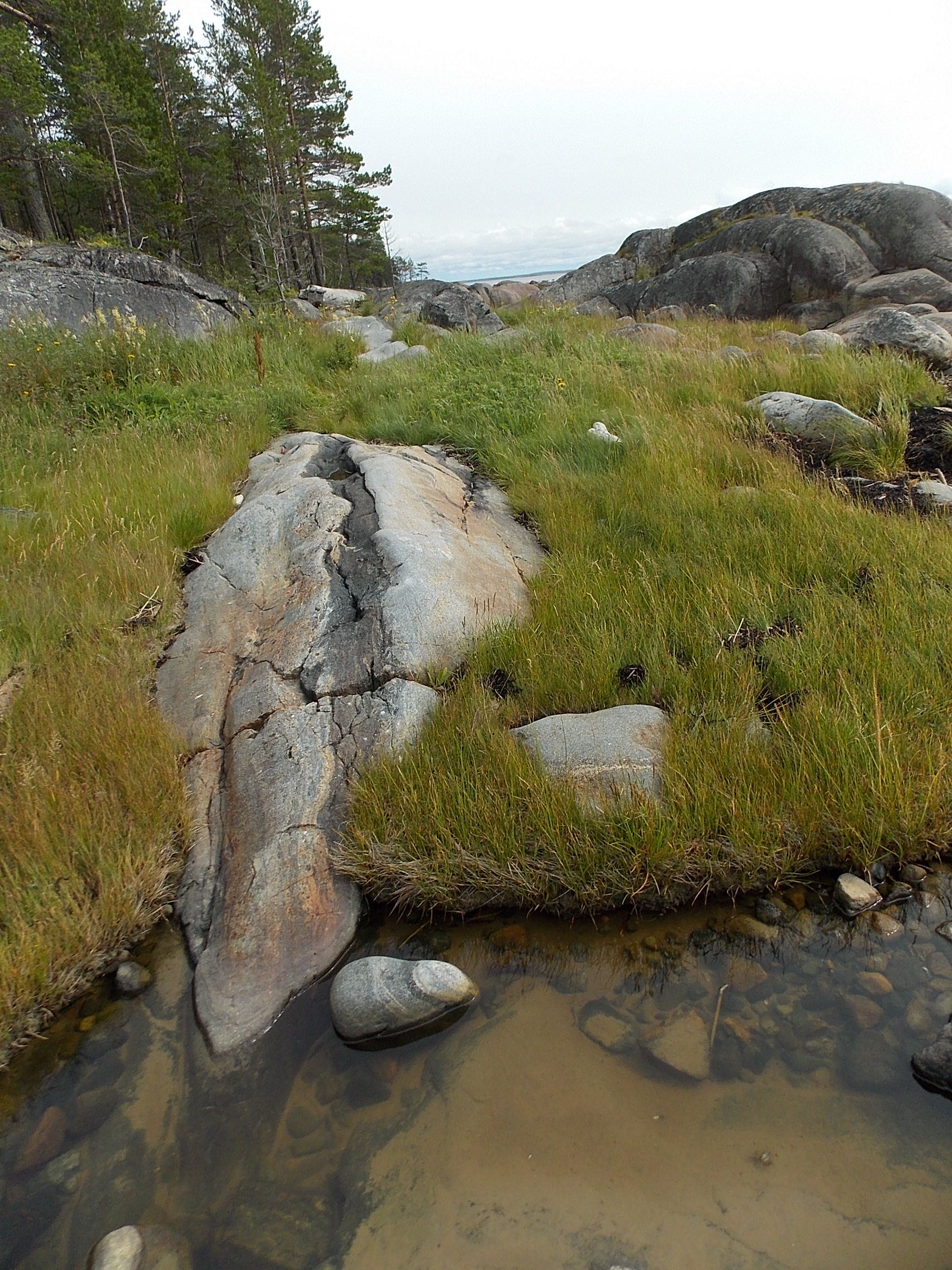 DSCN0658.JPG