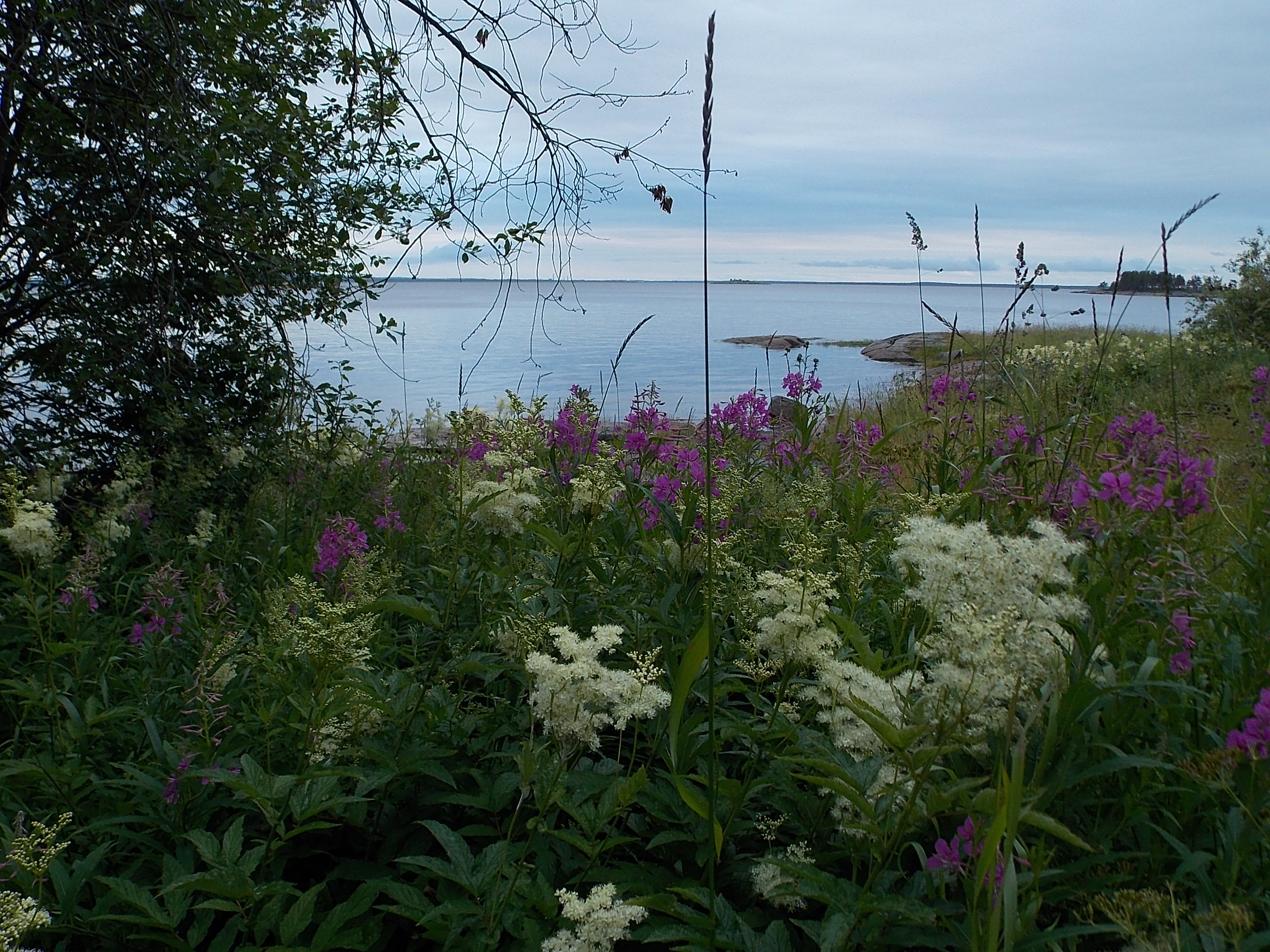 DSCN0759.JPG