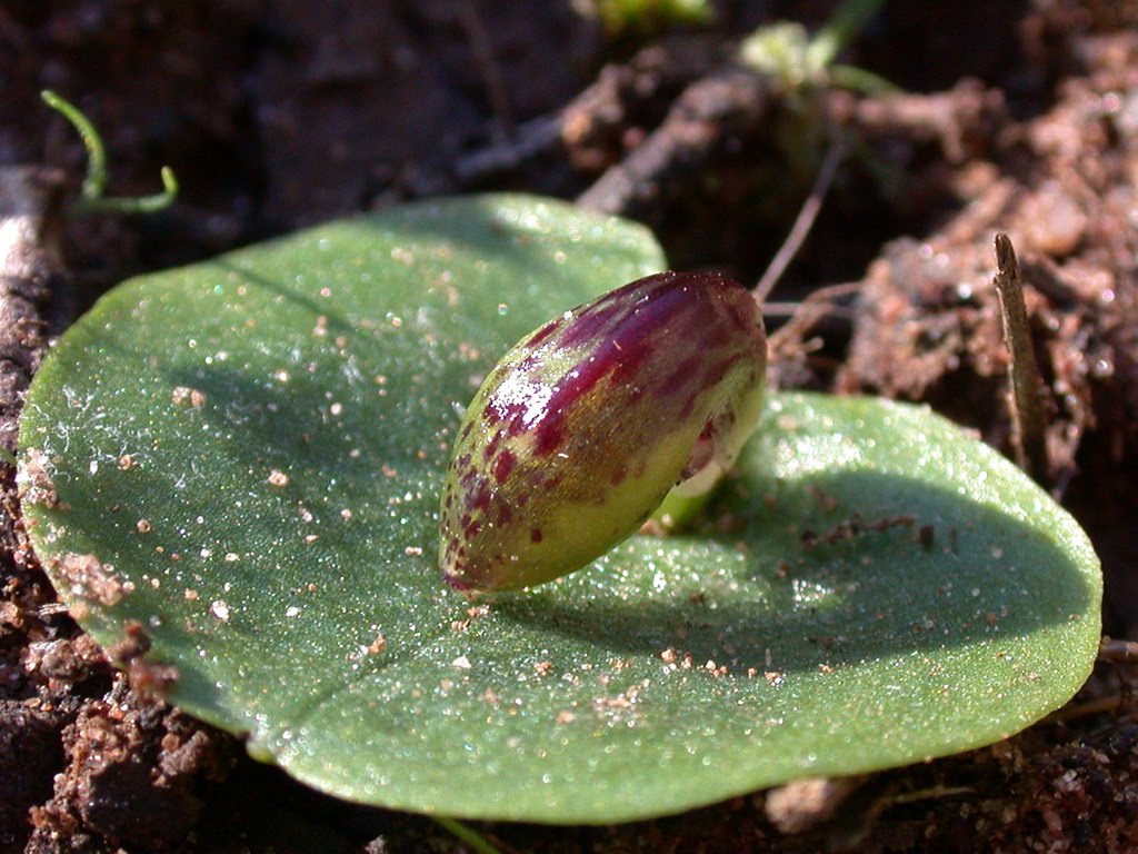 DSCN5235.JPG