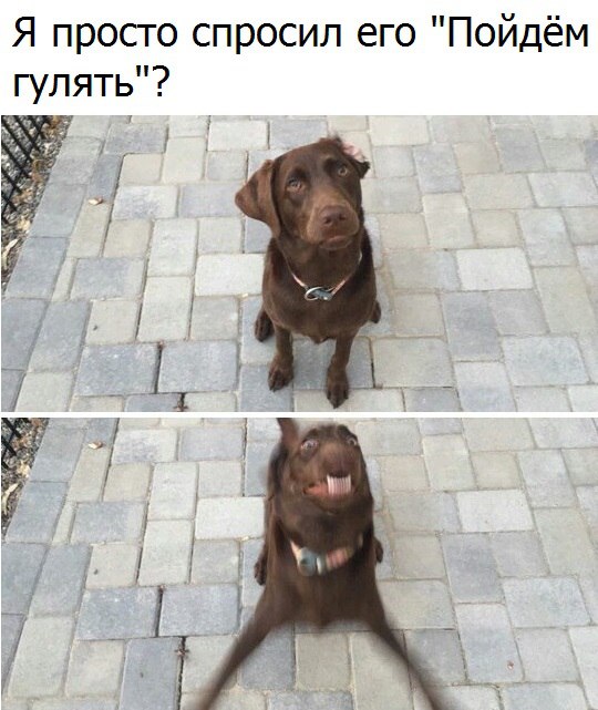 dW4VRNeZxZ8.jpg