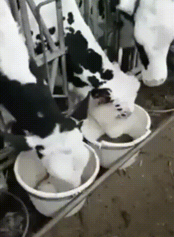 e1fa9e36652e.gif