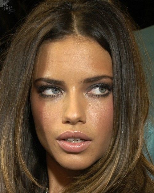 e490fb416b8bffb78f6b140d799688a6--adriana-lima-makeup-adriana-lima-hair.jpg