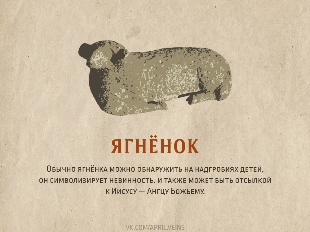 E4OyE674SKs.jpg