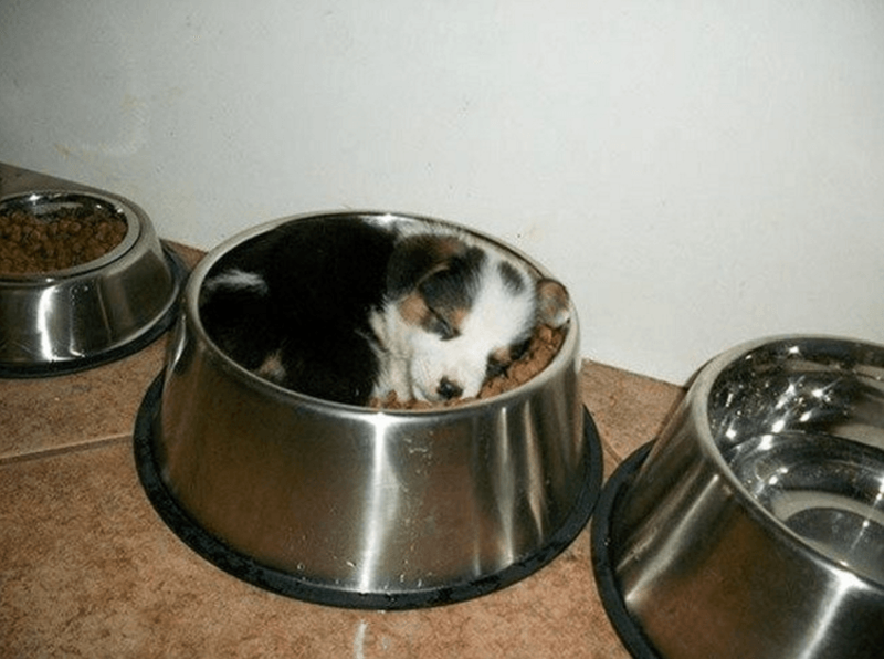 e8b348c4fedddb7d8facf3fc591cd56a.png