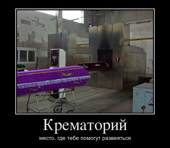 eb5e294eb947.jpg