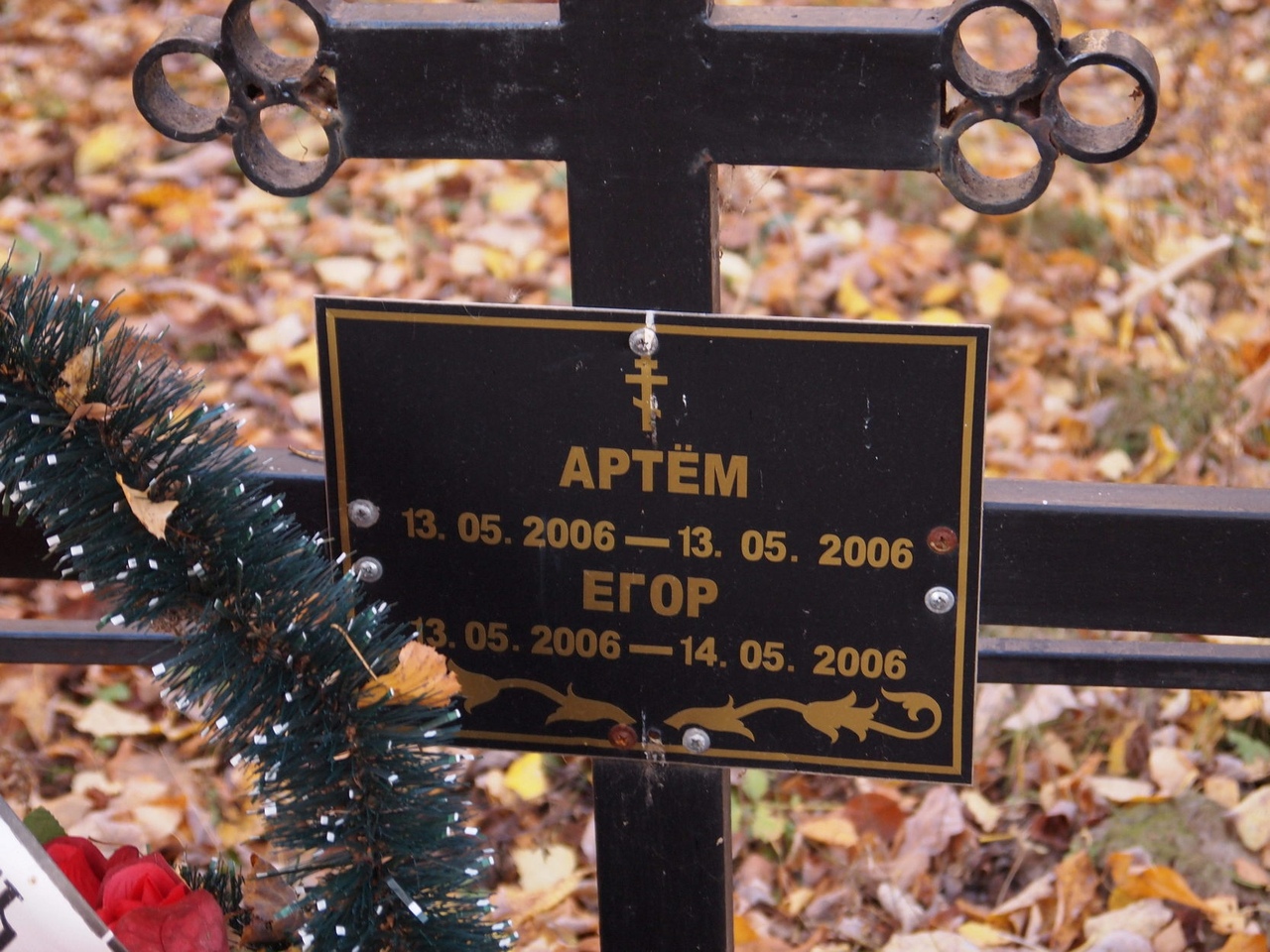 EedYbUrfIdM.jpg