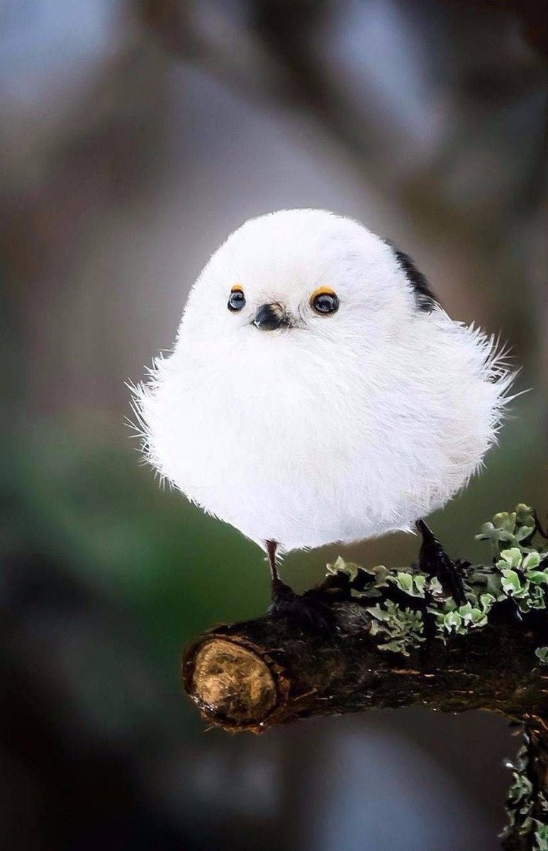 EIMAqYIXUAADLiQ.jpg