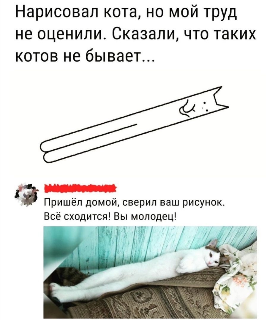 elehj_ID65s.jpg