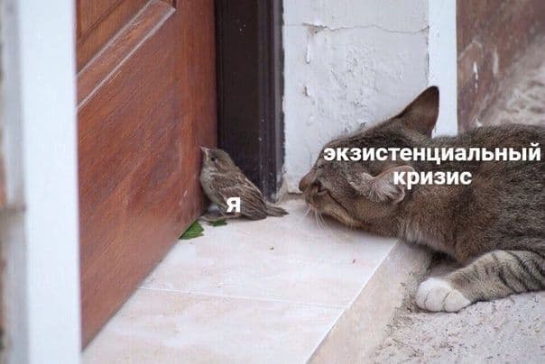 EmY8tQbXcAISDvy.jpg